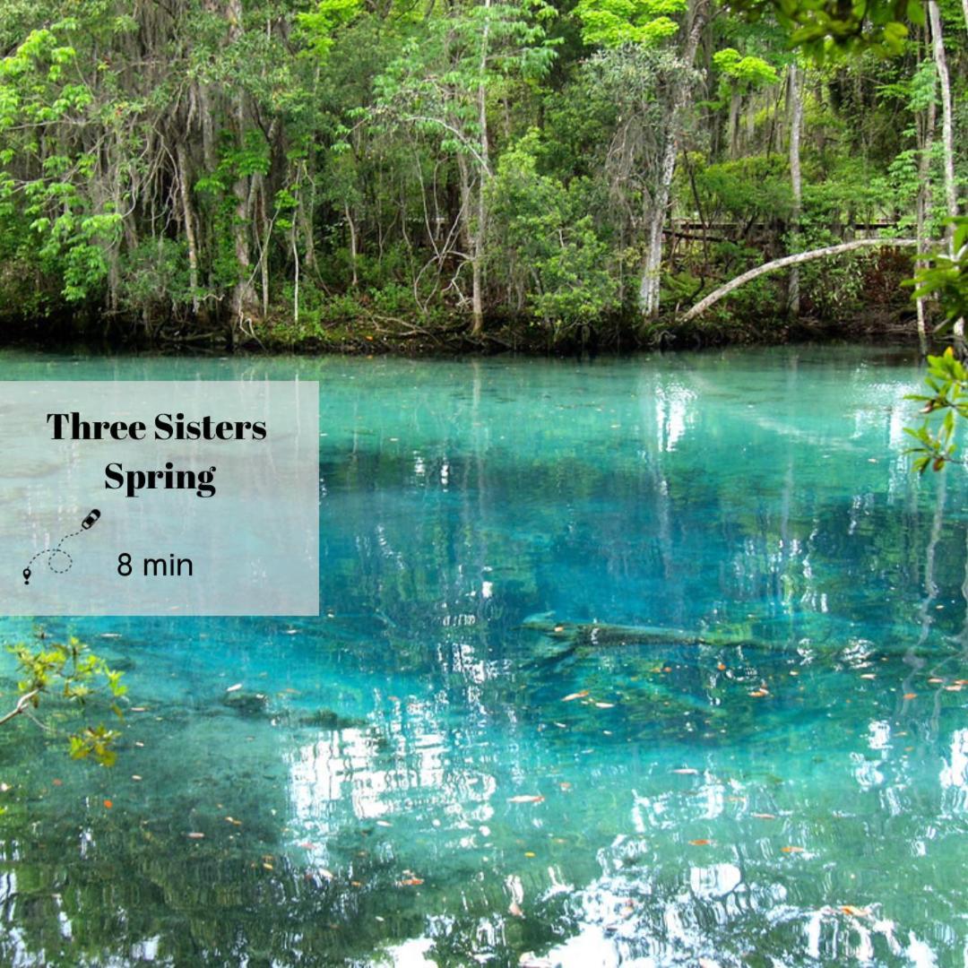 Villa New Cozy House 5 Min Three Sisters Springs Crystal River Exterior foto