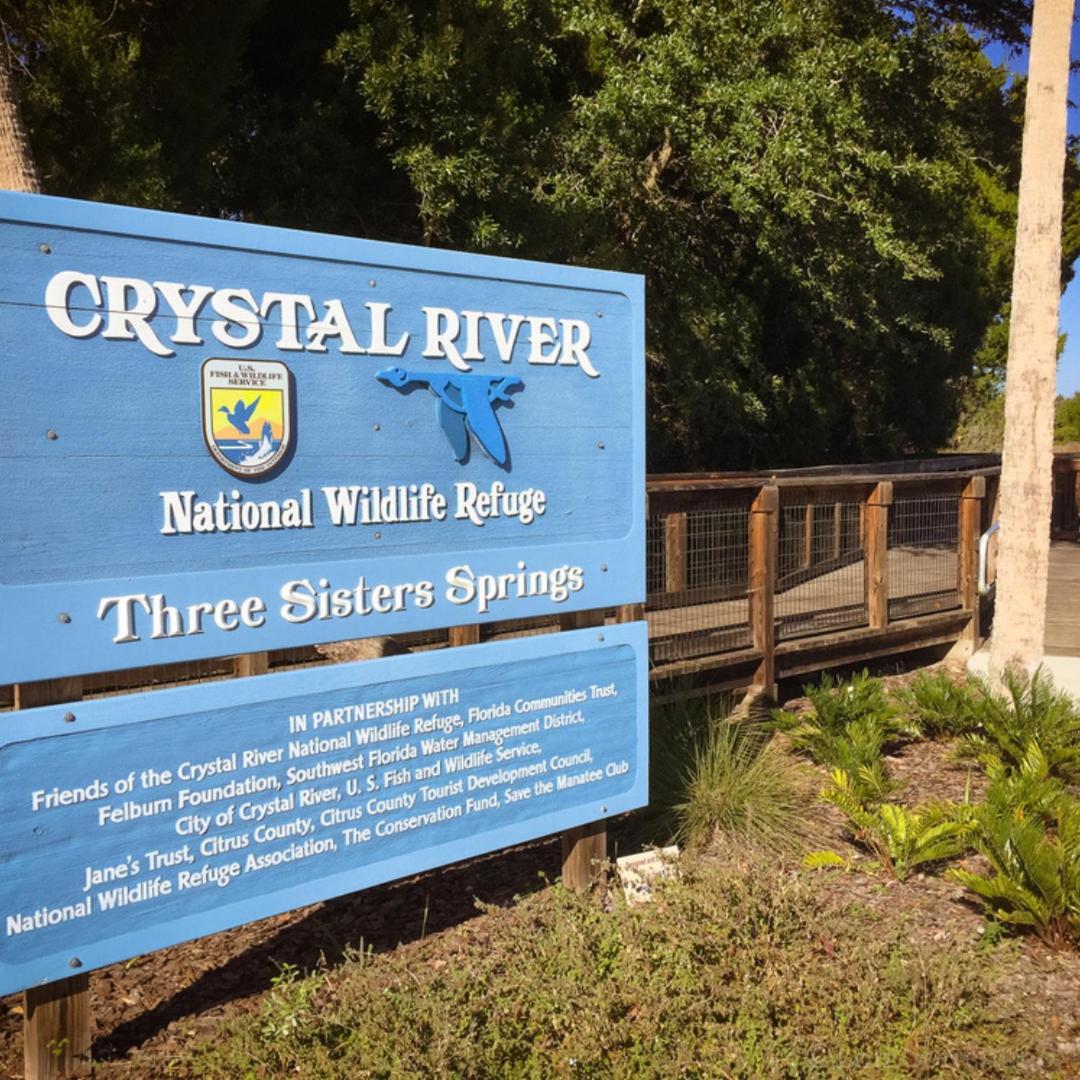 Villa New Cozy House 5 Min Three Sisters Springs Crystal River Exterior foto